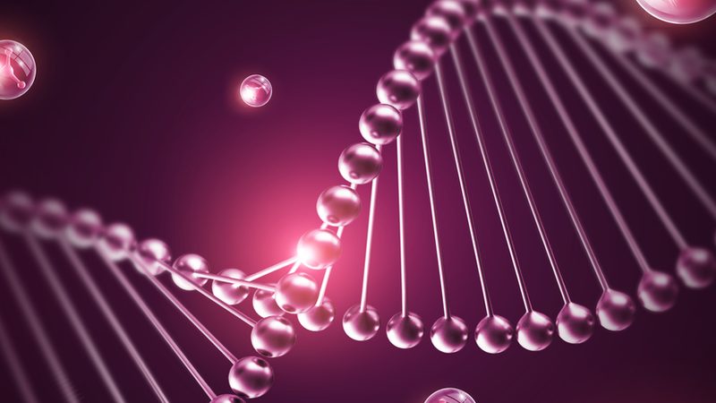 单克隆抗体规格与稳定性：揭秘影响药物疗效的关键因素**