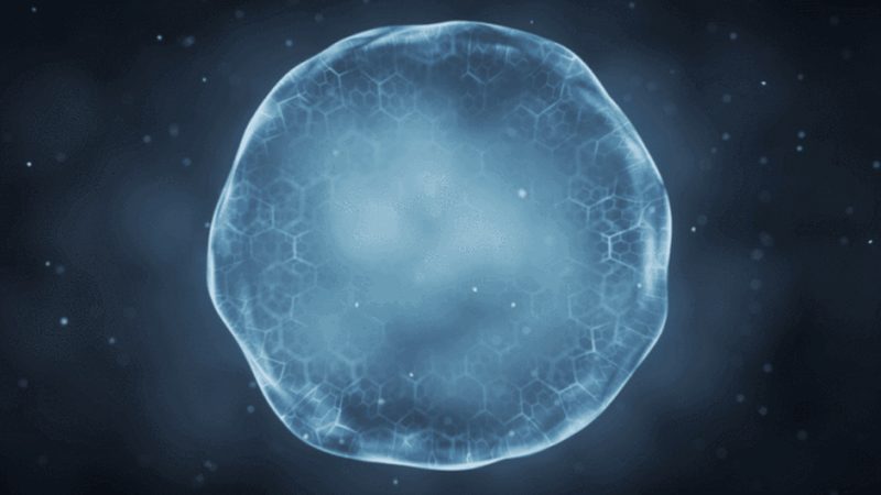 生物科技企业标准体系构建：从合规到卓越