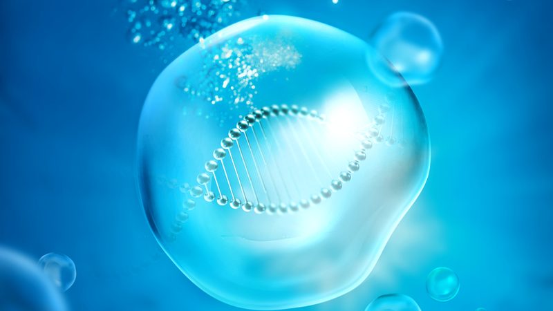 塑料离心管与玻璃试管：实验室中不可或缺的“双璧