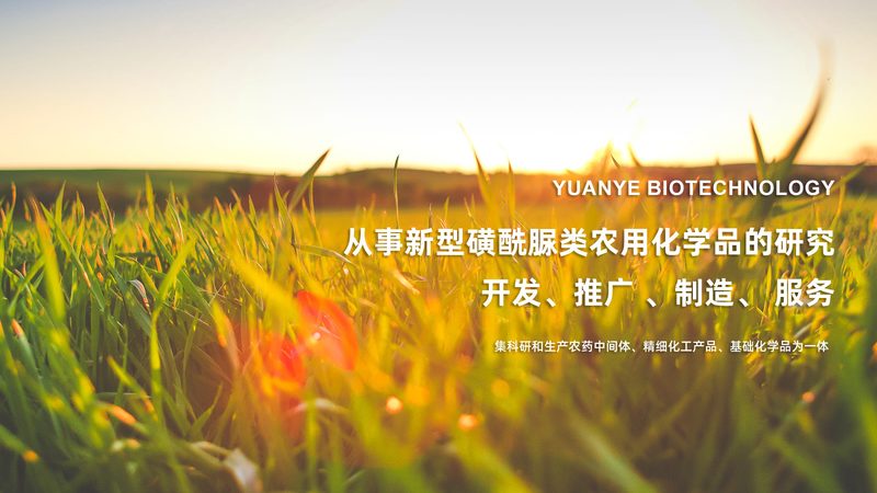 CRS成都代理加盟：揭秘医药研发外包的幕后推手