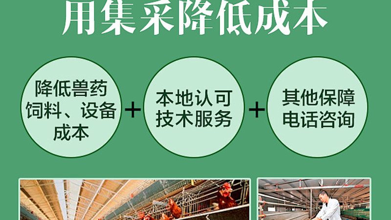 基因编辑试剂代理：如何选择可靠合作伙伴