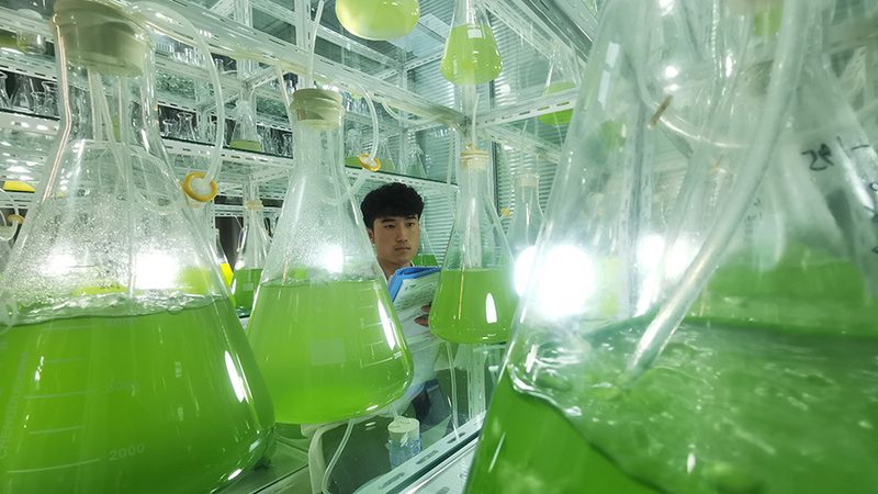 三代基因测序技术：揭秘原理与参数**